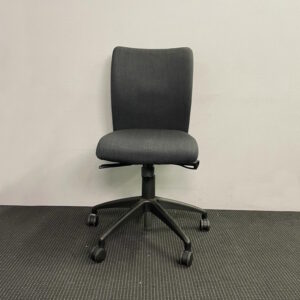 Ene Therapeutic Office Chair - 1 available