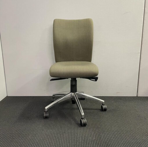Ene Therapeutic Office Chair - 11 available - Image 2