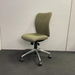 Ene Therapeutic Office Chair - 11 available