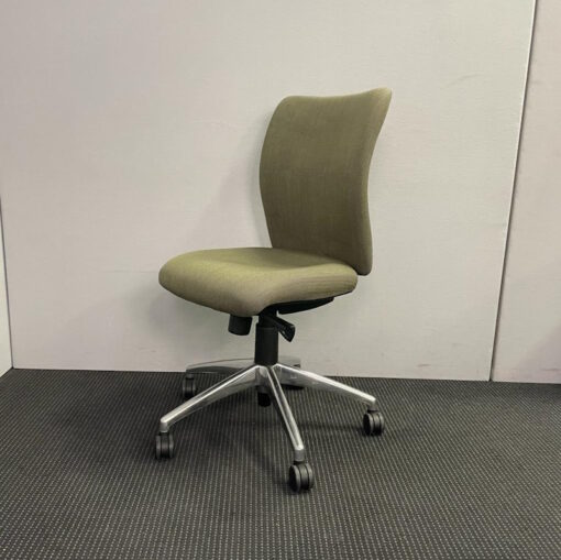 Ene Therapeutic Office Chair - 11 available