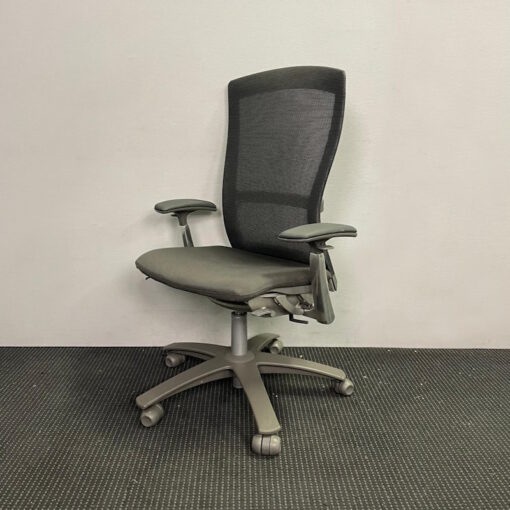 Life Chair by Formway with Armrests - 1 available - Image 2