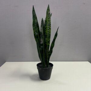 Ikea FEJKA Artificial Potted Plant - 21 available