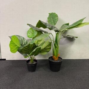 Artificial Potted Plant - 3 available